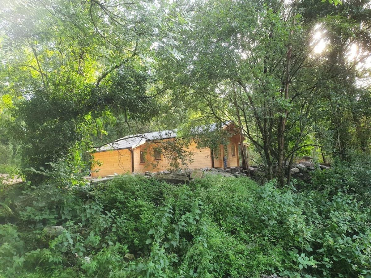 Stunning Log Cabin On The Lake Portroe Exterior foto